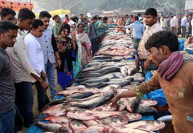 বগুড়ার শিবগঞ্জ উপজেলার উথলী গ্রামে বসেছে মাছের মেলা। ছবি: লেখক