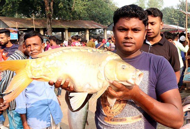 আট কেজি ওজনের মাছ হাতে ক্রেতাকে আকৃষ্ট করার চেষ্টা। ছবি: লেখক