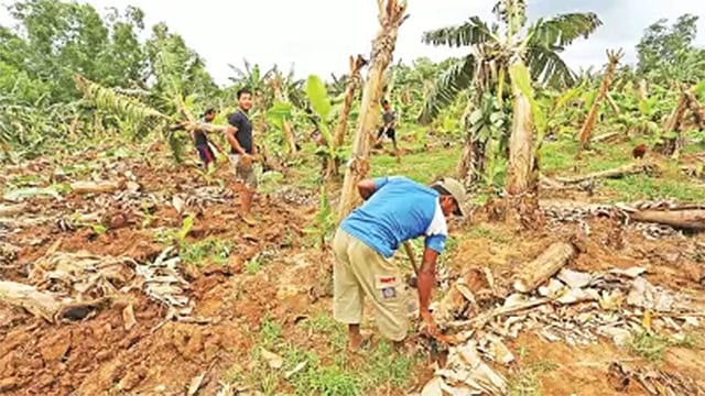 ফাইল ছবি