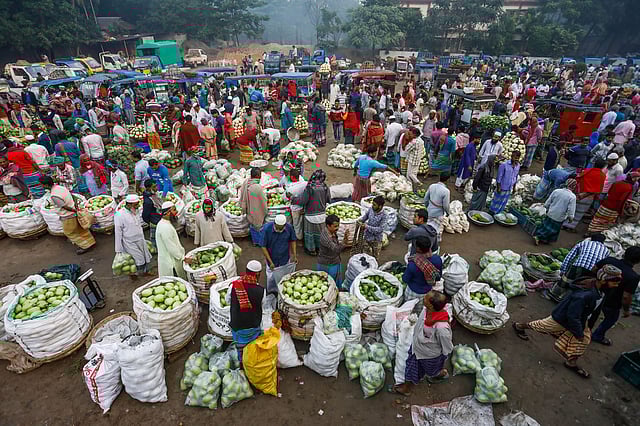পাইকারি ব্যবসায়ীদের জন্য কেরানীগঞ্জের কলাতিয়া বাজারে যায় কৃষকের ওলকপি