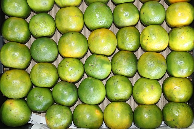 ধরন হিসেবে বাছাই করা হয়েছে কমলা।