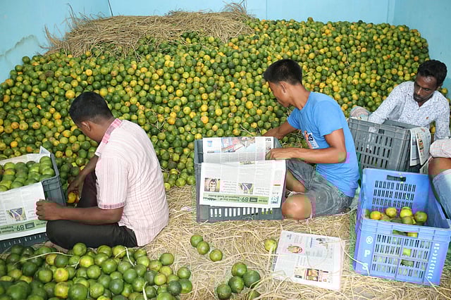 দেশের বিভিন্ন অঞ্চলে পাঠানোর প্রস্তুতি
