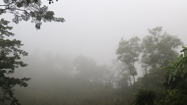 কুয়াশার চাদরে ঢাকা পাহাড়