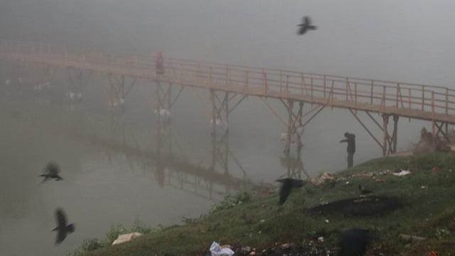 ঘন কুয়াশায় সাঁকো পার হচ্ছেন পথিক। পাখিরা বেরিয়েছে খাবারের খোঁজে