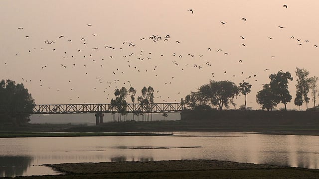 ঘরে ফেরার পালা