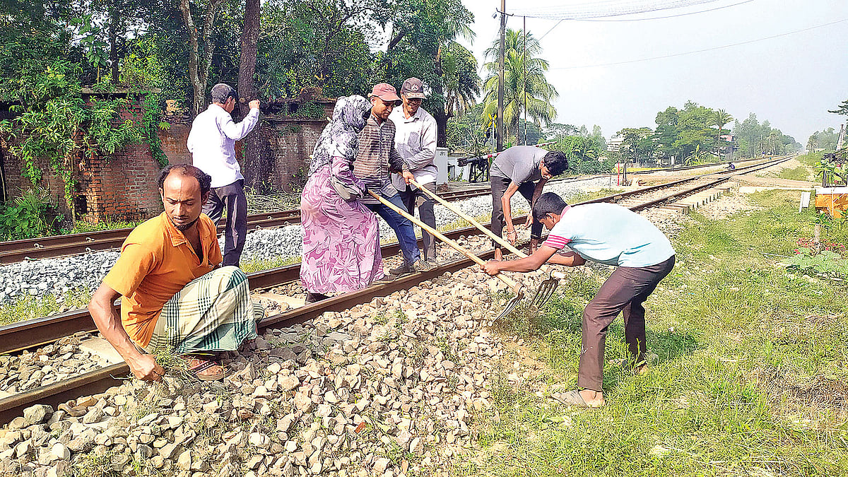 কাজ করছেন শাহনাজ বেগম।  প্রথম আলো