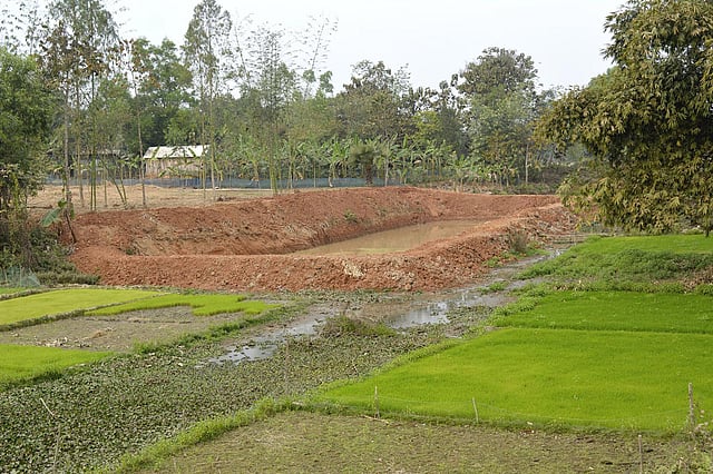কে বলবে এখানে একসময় পানির স্রোত যেত। ছবি: লেখক