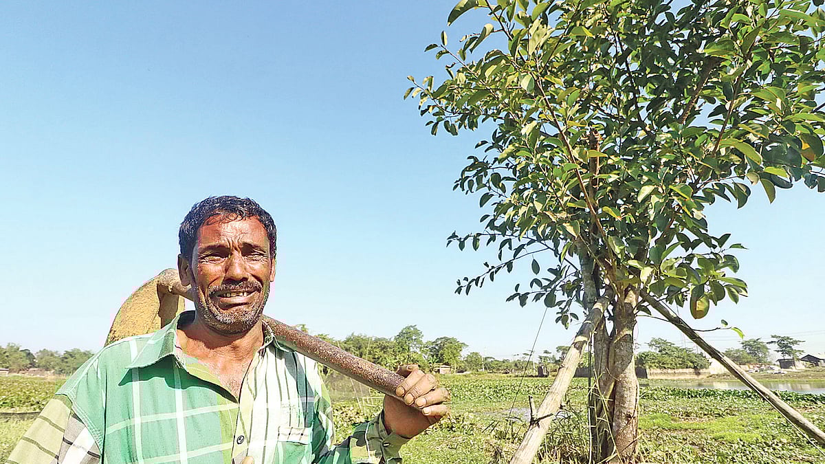 সিলেট নগরীর উপকণ্ঠে অবহেলিত লালমাটিয়া বধ্যভূমির প্রায় ৩০ বছর ধরে পরিষ্কার করেন জামাল উদ্দিন। আজ সোমবার মহান বিজয় দিবস সামনে রেখে বধ্যভূমি পরিষ্কার করেন জামাল উদ্দিন। আজ সেখানে পতাকা টানাবেন তিনি। শহীদদের স্মৃতি ধরে রাখতে সেখানে রোপণ করেছেন দুটি গাছ। এ সময় আপ্লুত হয়ে যান জামাল উদ্দিন। গতকাল সকালে। প্রথম আলো