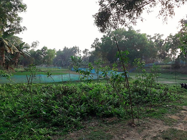 বানার নদীর এমনও জায়গা দেখা গেছে, যেখানে মাটি ভরাট করে চাষ হচ্ছে মৌসুমি সবজি। ছবি: লেখক