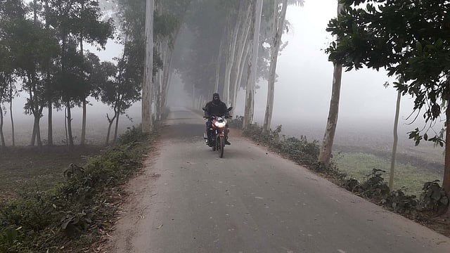 পঞ্চগড়ে ঘন কুয়াশায় ঢেকে গেছে চারদিক। দিনের বেলাও হেডলাইট জ্বেলে মোটরসাইকেল চালাচ্ছেন এক ব্যক্তি। ডুডুমারী এলাকা, সদর উপজেলা, ১৯ ডিসেম্বর। ছবি: রাজিউর রহমান