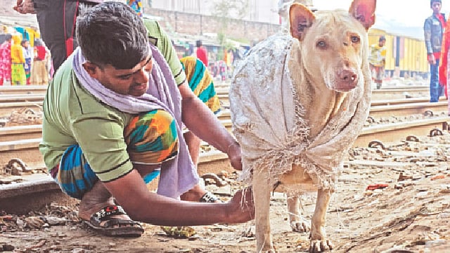 ঠান্ডা কমাতে পোষা কুকুরের গায়ে প্লাস্টিকের বস্তা মুড়িয়ে দেওয়া হচ্ছে। গতকাল বিকেলে  রাজধানীর নাখালপাড়ায়।  ছবি: হাসান রাজা
