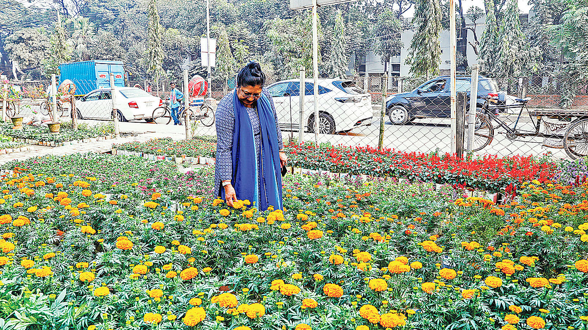 ফুল গাছের চারা পছন্দ করছেন এক ক্রেতা। সম্প্রতি আগারগঁাওয়ের একটি নার্সারিতে।  প্রথম আলো