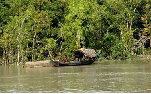সুন্দরবনের মানুষের জীবন কাটে কষ্টে। ফাইল ছবি