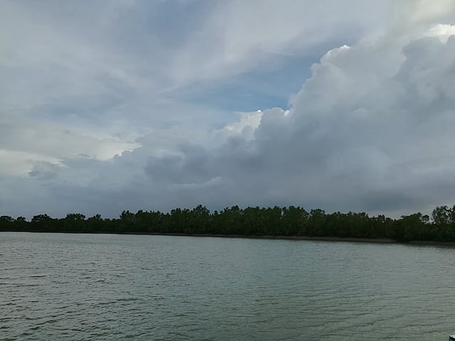 সুন্দরবনের নদী। ফাইল ছবি