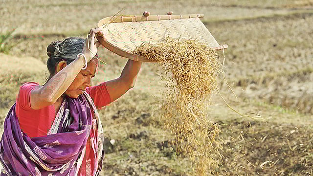 নারীরা গৃহস্থালির কাজের স্বীকৃতি পান না।  ছবি: এহসান–উদ দৌলা