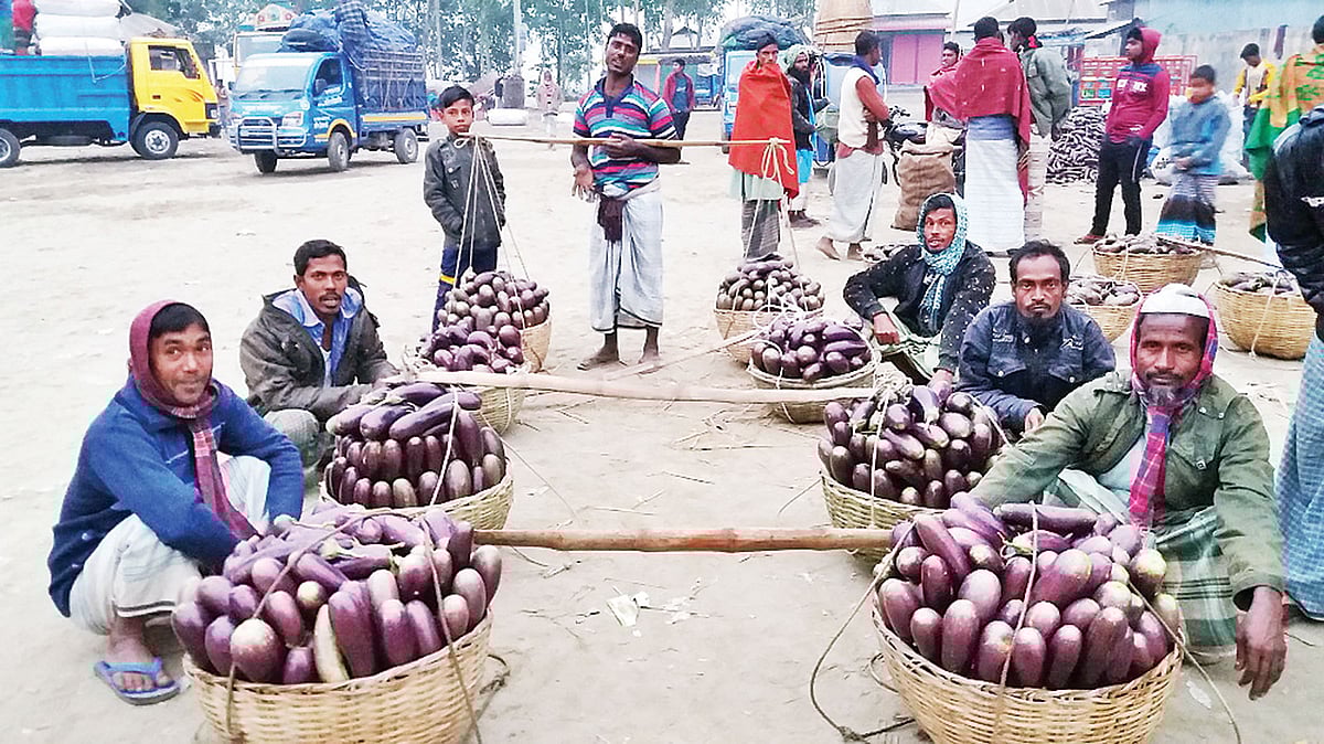 শেরপুরের সদর উপজেলার চরাঞ্চলে উৎপাদিত বোতল বেগুন বিক্রির জন্য বাজারে এনেছেন কৃষকেরা। গত সোমবার কামারেরচর বাজারে।  ছবি: প্রথম আলো