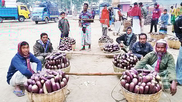 শেরপুরের সদর উপজেলার চরাঞ্চলে উৎপাদিত বোতল বেগুন বিক্রির জন্য বাজারে এনেছেন কৃষকেরা। গত সোমবার কামারেরচর বাজারে।  ছবি: প্রথম আলো