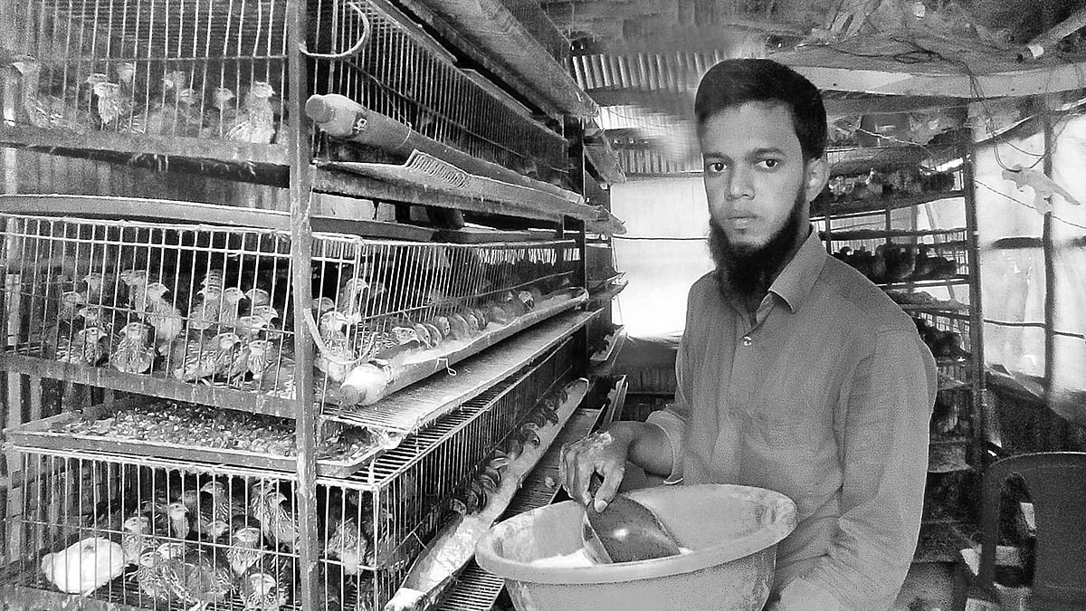 নিজ খামারে কোয়েল পাখিকে খাবার দিচ্ছেন আতিকুল। সম্প্রতি আদমদীঘিতে। ছবি: প্রথম আলো