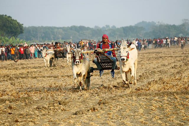 প্রতিযোগিতার আগে অনুশীলন চলছে