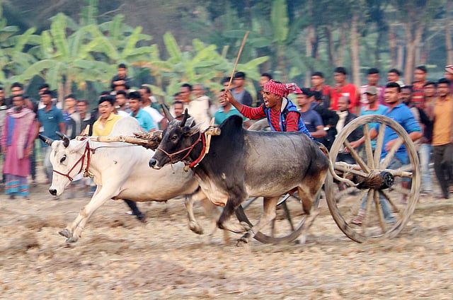 চলছে তুমুল প্রতিযোগিতা