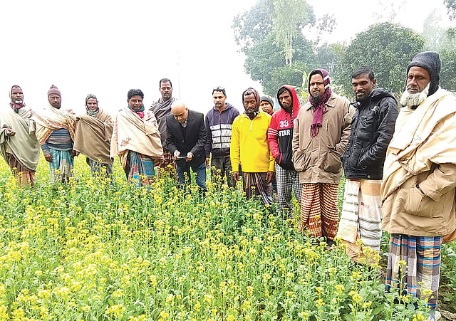কীটনাশক প্রয়োগে কৃষকদের পরামর্শ দেওয়ার আগে পোকায় আক্রান্ত সরিষাখেতের ছবি তুলছেন এক  কৃষি কর্মকর্তা। সম্প্রতি বাগমারার হামিরকুৎসা গ্রামে।  ছবি: প্রথম আলো