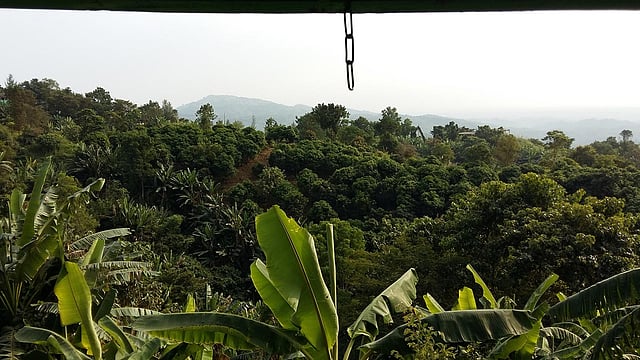 পাহাড়ে এমন দৃশ্য সব সময় দেখা মেলে। ছবি: লেখক