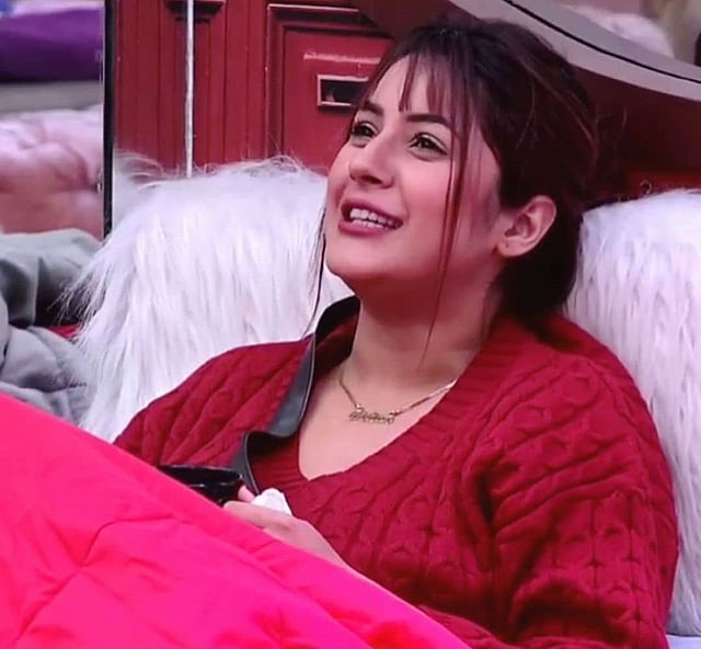 শেহনাজ গিলকে বলা হয় পাঞ্জাবের ক্যাটরিনা কাইফ। ছবি: ইনস্টাগ্রাম