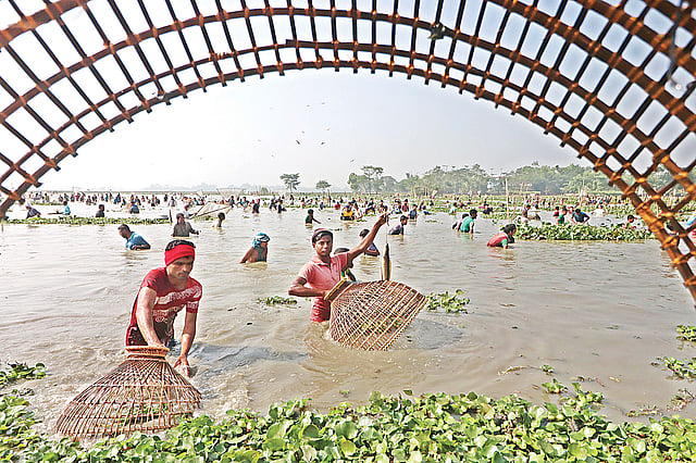 মাছ ধরতে পলো হাতে বিলে নেমে পড়েছেন গ্রামের ছোট-বড় সবাই। গতকাল দুপুরে সিলেটের বিশ্বনাথ উপজেলার গোয়াহরি বিলে।  আনিস মাহমুদ