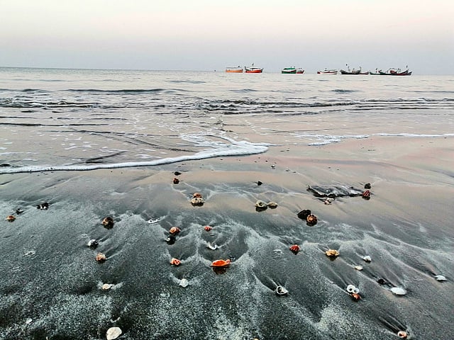 বাহারি শামুক আর সাগরে ভাসমান নৌকা