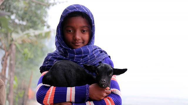 প্রথম আলো ফাইল ছবি