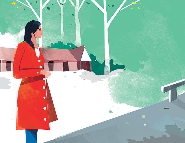 অংলকরণ: তুলি