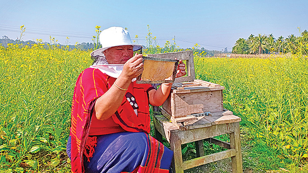 বাড়ির পাশে সরিষাখেতে মধু চাষ করে বাড়তি টাকা আয় করছেন জর্ঝিনা চাকমা। পানছড়ি দক্ষিণ শান্তিপুর এলাকায়। প্রথম আলো