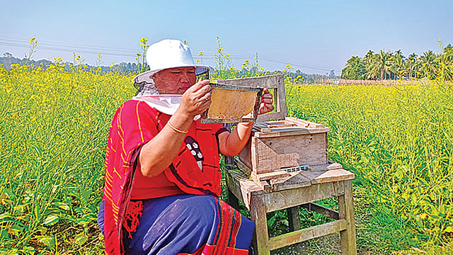 বাড়ির পাশে সরিষাখেতে মধু চাষ করে বাড়তি টাকা আয় করছেন জর্ঝিনা চাকমা। পানছড়ি দক্ষিণ শান্তিপুর এলাকায়।  প্রথম আলো