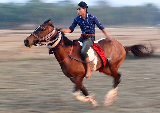 তেজি ঘোড়ায় ছুটছে সওয়ারি