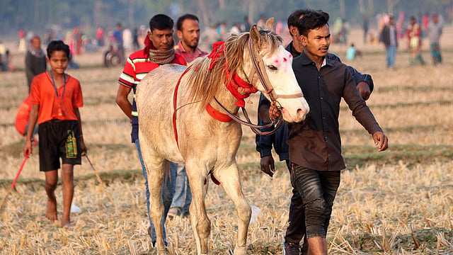 প্রতিযোগিতায় আসা ঘোড়া ও ঘোড়সওয়ার