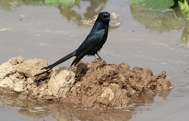 একলা বসে