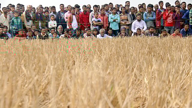 লড়াই দেখতে আসা দর্শক
