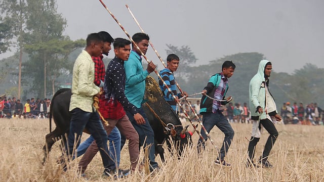 বিজয়ের পর ফিরে চলা