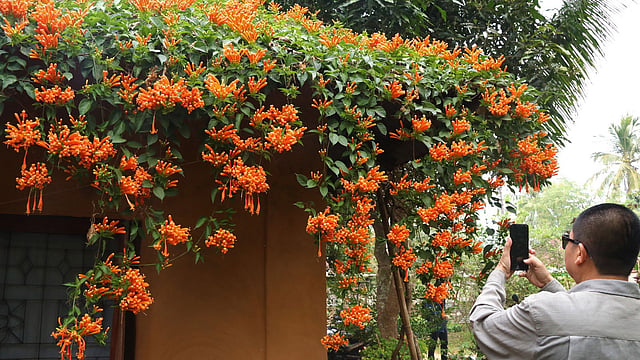 ফুলের ছবি মোবাইলে তুলে নেন অনেকে