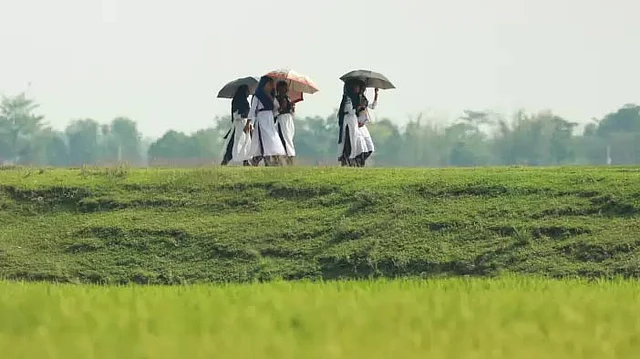 প্রতীকী ছবি। ছবি: প্রথম আলো