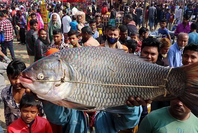 আরেকটি বড় কাতলা