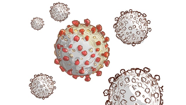 চীনের বাইরে অন্তত ২৮টি দেশে করোনাভাইরাস ছড়িয়েছে। ছবি: রয়টার্স