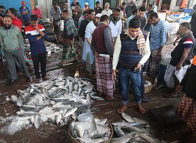 বরিশালের পোর্ট রোডের পাইকারি বাজারে ইলিশ কিনতে চলছে দর-কষাকষি। ছবি: সাইয়ান
