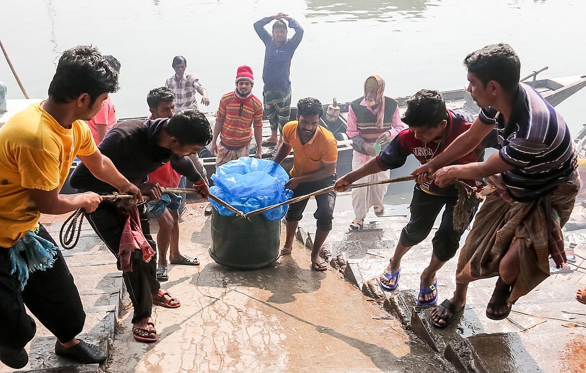 ট্রলারে করে ইলিশ এসেছে
