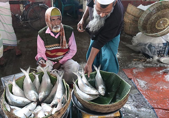 বাজারে ইলিশের পসরা সাজিয়েছেন খুচরা ব্যবসায়ী