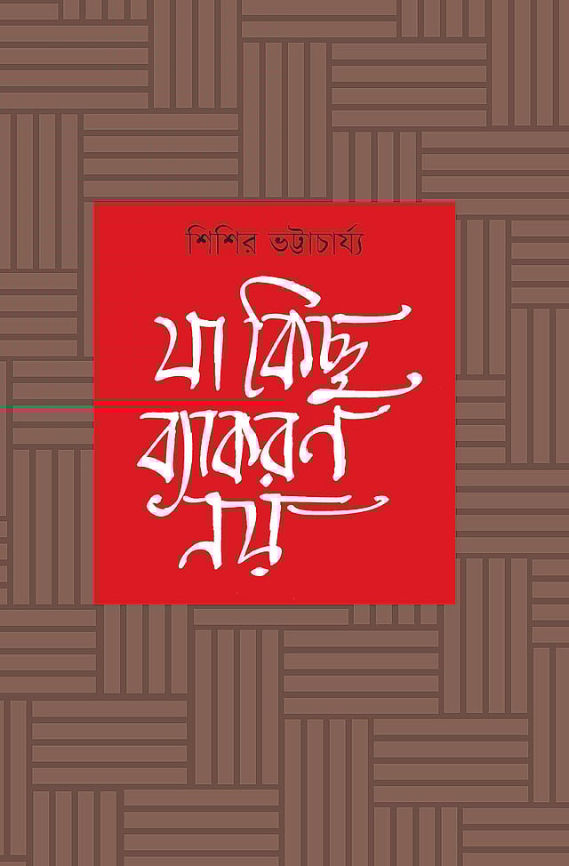যা কিছু ব্যাকরণ নয়। শিশির ভট্টাচার্য্য