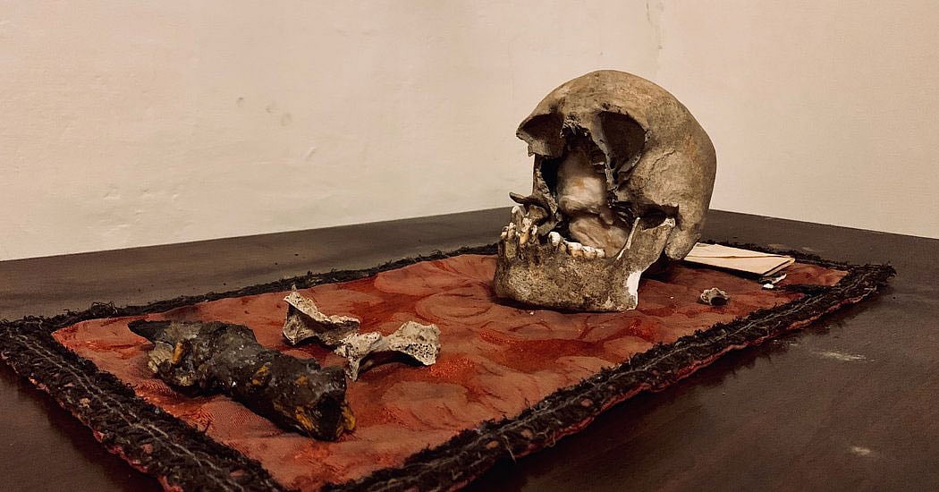 জাদুঘরে রক্ষিত এই মাথার খুলিটিকেই মনে করা হচ্ছে প্লিনি দ্য এলডারের খুলি হিসেবে। ছবি: সংগৃহীত