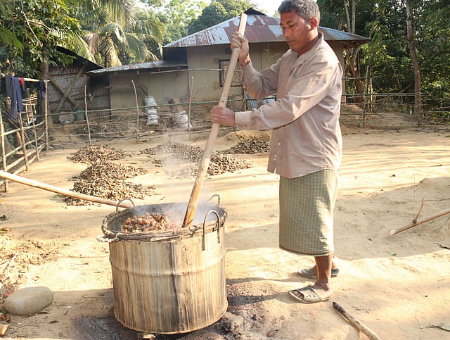 শুকাতে হলুদ সিদ্ধ করা হচ্ছে।