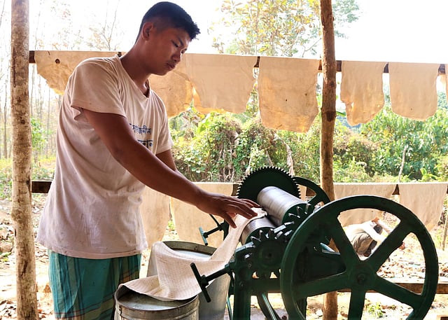 কারখানায় যন্ত্রের সাহায্যে কষ থেকে রাবারের ফালি তৈরি করছেন এক শ্রমিক।