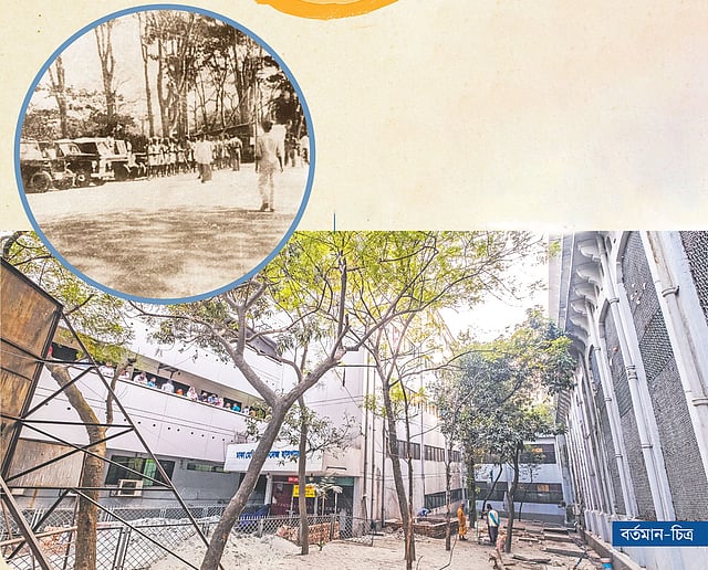 ঐতিহাসিক আমতলা এখন কেবলই স্মৃতি। সেটি ছিল ঢাকা মেডিকেল কলেজের পুরোনো জরুরি বিভাগে ঢুকে কিছুটা ডানে গিয়ে বাঁয়ের মোড়ে। আমগাছটির দক্ষিণে ছিল মধুর ক্যানটিন। এখন সেখানে আমগাছটি নেই। ডাকসু ভবনে সেই আমগাছের কিছু অংশ সংরক্ষিত আছে। এখন সেখানে নিমগাছ এবং নতুন আমগাছ দেখা যায়।